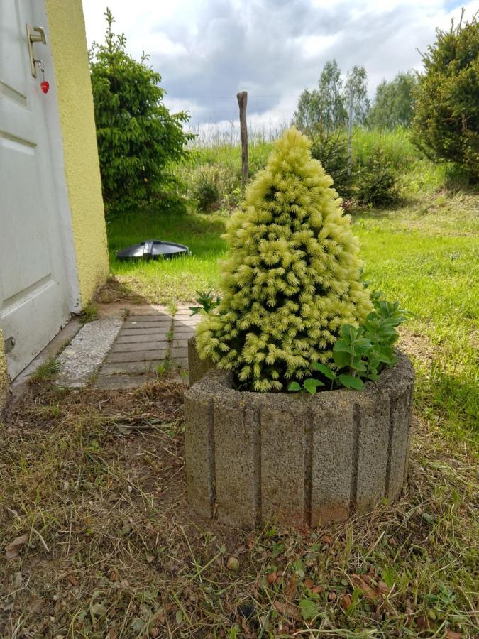 Domki U Dobrusi Mikołajki 外观 照片